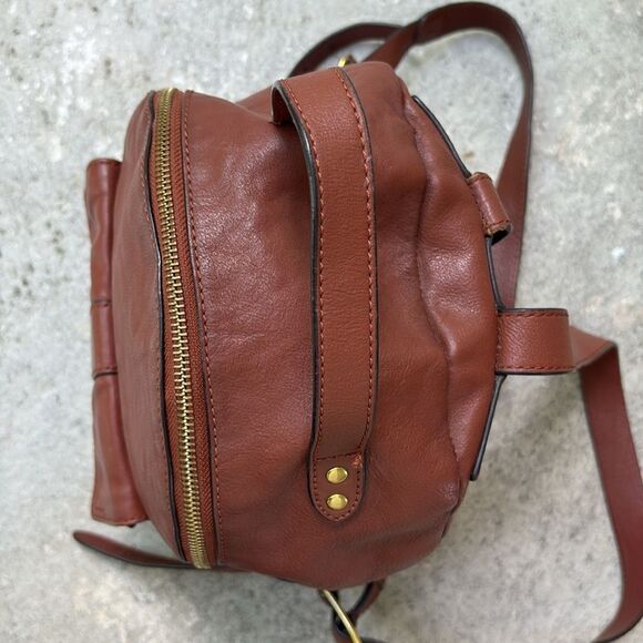 Frye Olivia Brown bag main image 8